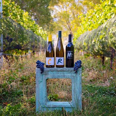 Crowsnest Vineyards Guesthouse Keremeos 외부 사진