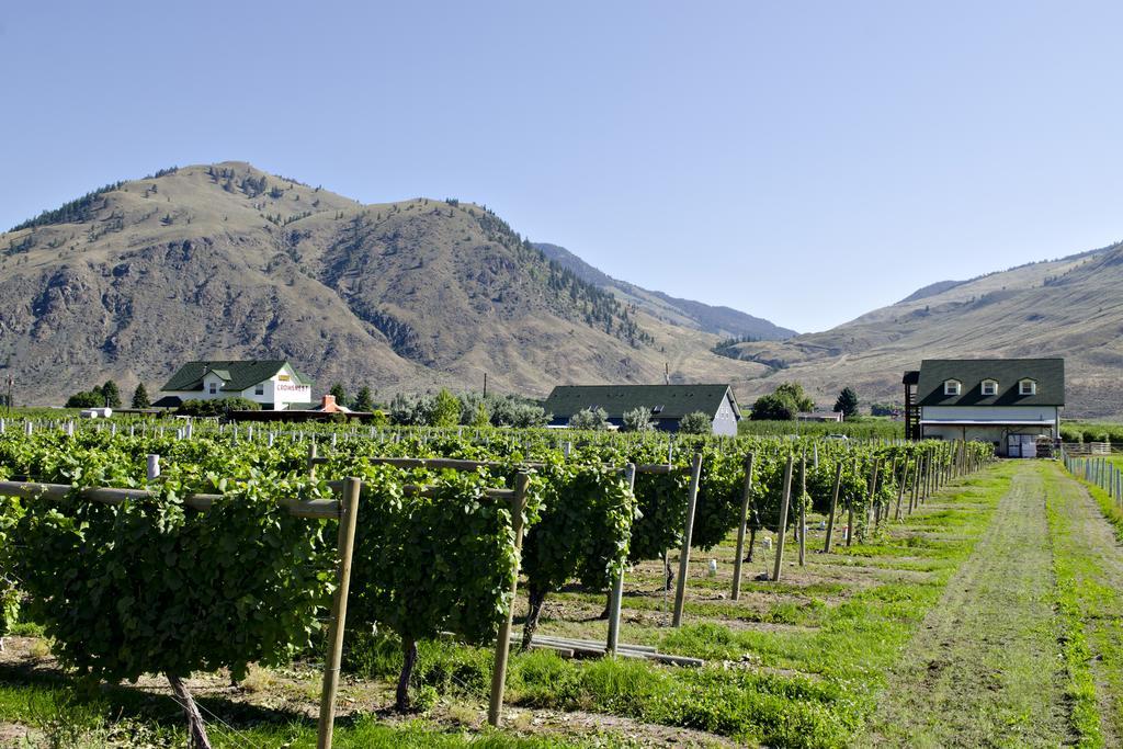 Crowsnest Vineyards Guesthouse Keremeos 외부 사진
