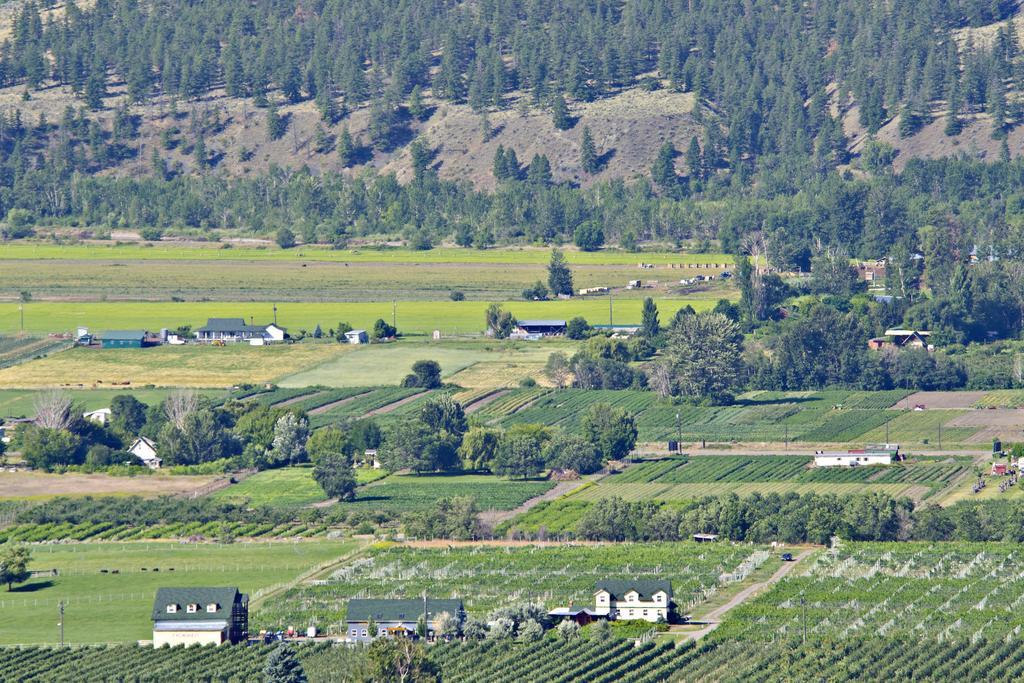 Crowsnest Vineyards Guesthouse Keremeos 외부 사진