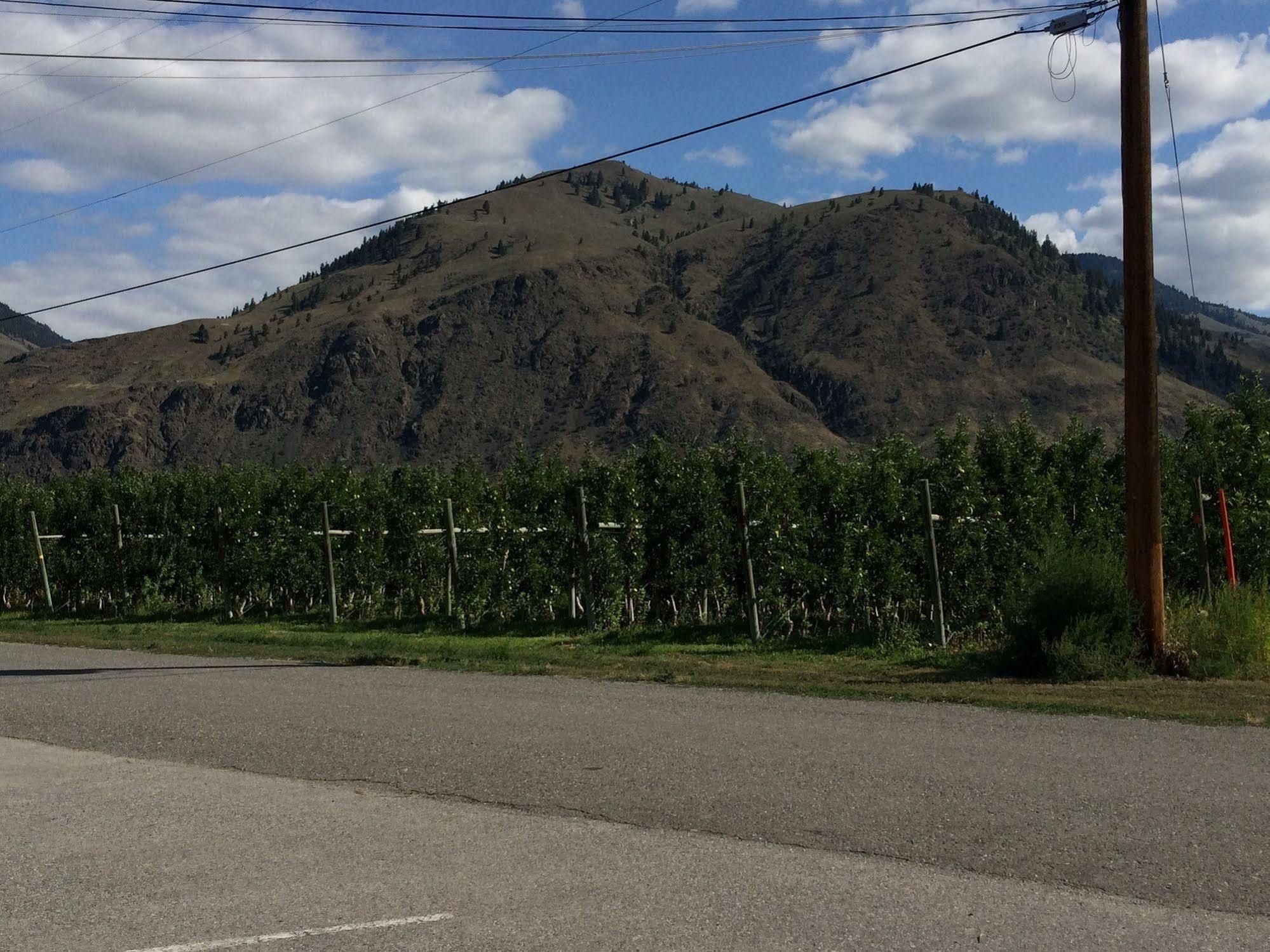 Crowsnest Vineyards Guesthouse Keremeos 외부 사진