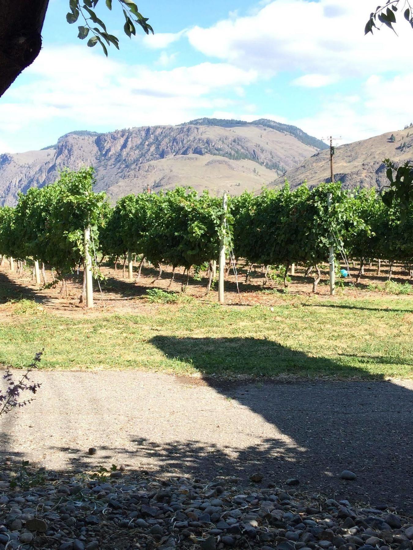 Crowsnest Vineyards Guesthouse Keremeos 외부 사진